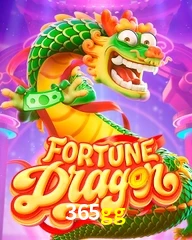 365GG.COM